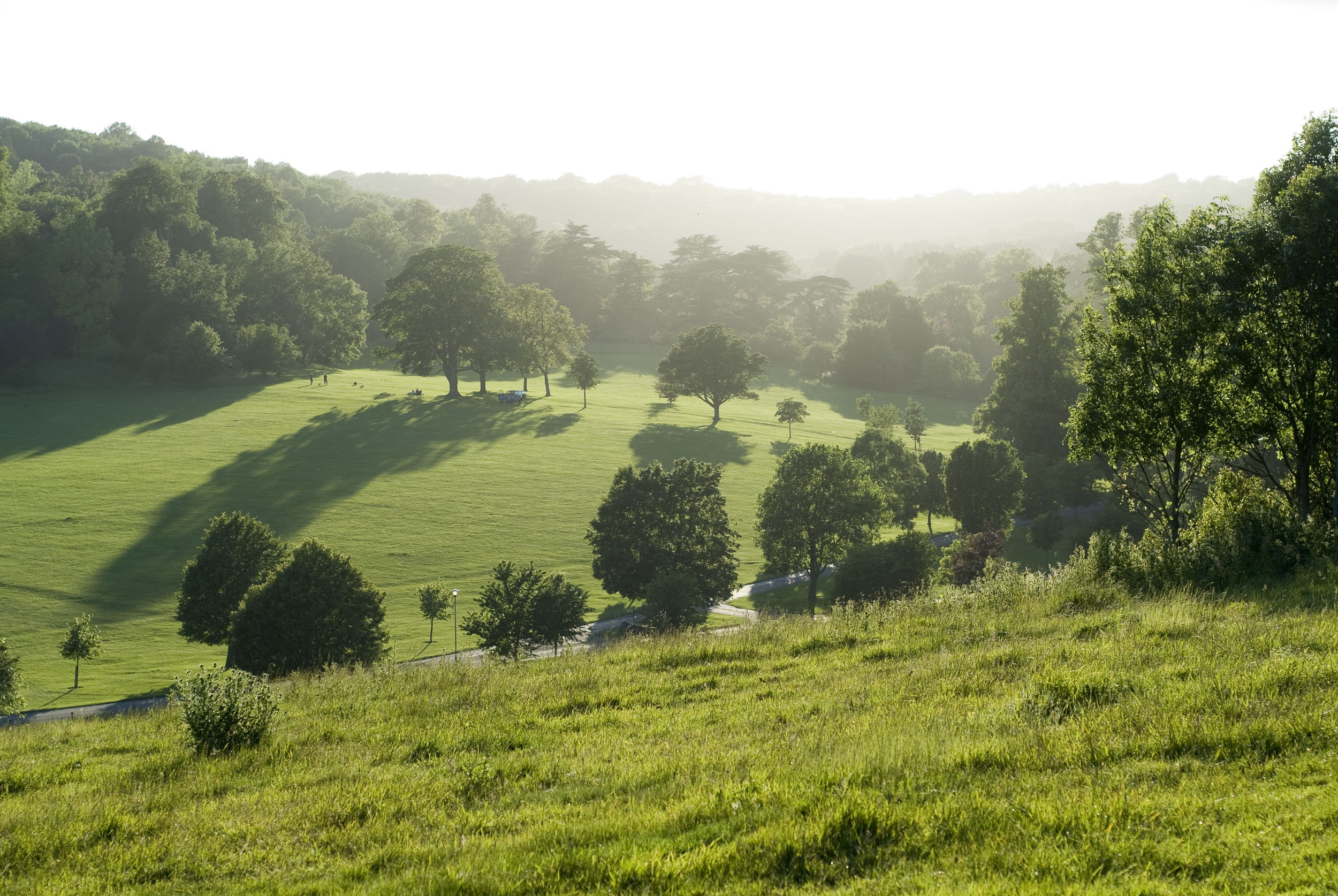 Lifestyle and Landscapes
